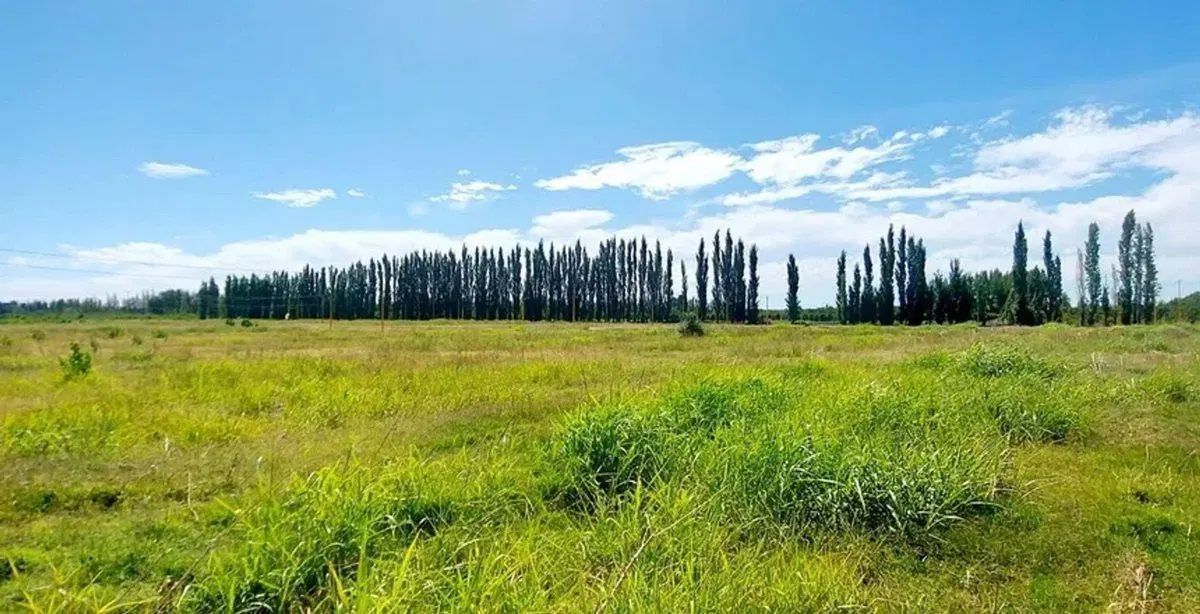 Terreno en La Rufina II 3