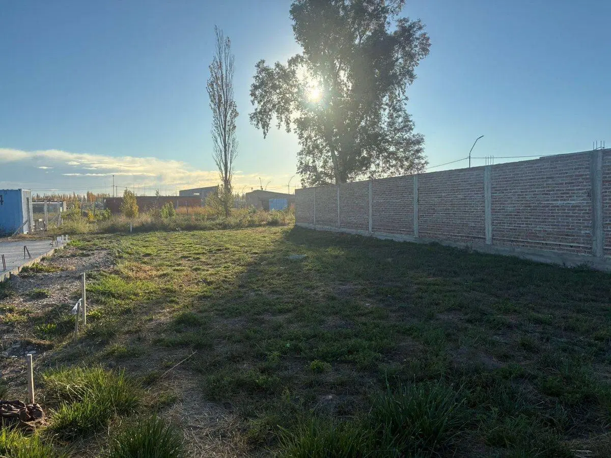 REMAX VENDE TERRENO EN LA MARTINA II GENERAL ROCA 3