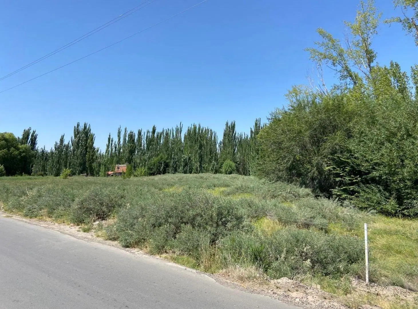 AMPLIO LOTE CON Y CONSTRUCCION SOBRE RUTA 22 F.ORO 8