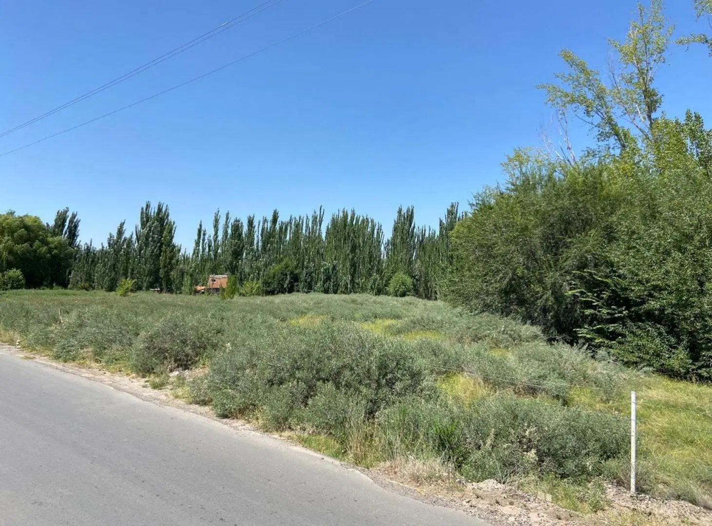 AMPLIO LOTE CON Y CONSTRUCCION SOBRE RUTA 22 F.ORO 2
