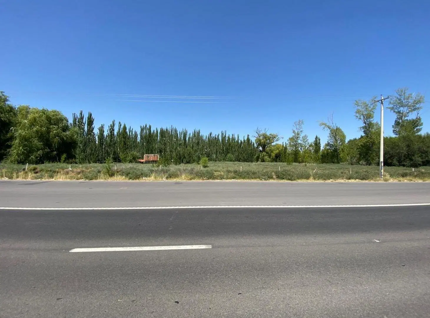 AMPLIO LOTE CON Y CONSTRUCCION SOBRE RUTA 22 F.ORO 4