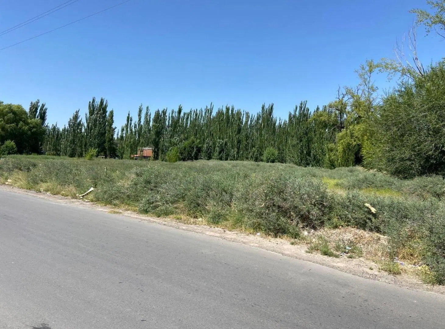 AMPLIO LOTE CON Y CONSTRUCCION SOBRE RUTA 22 F.ORO 3