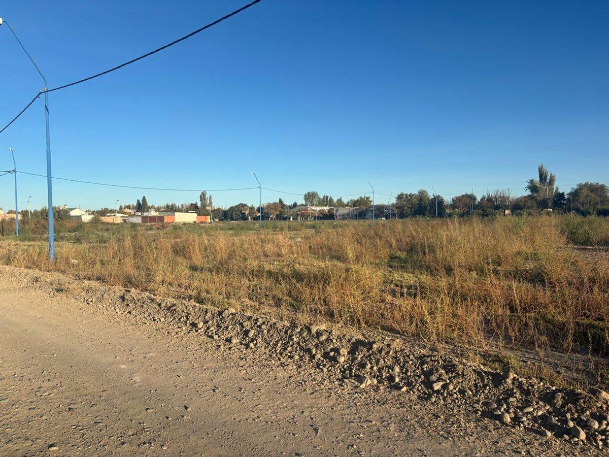 LOTE BARRIO LOS OLMOS 271 M2