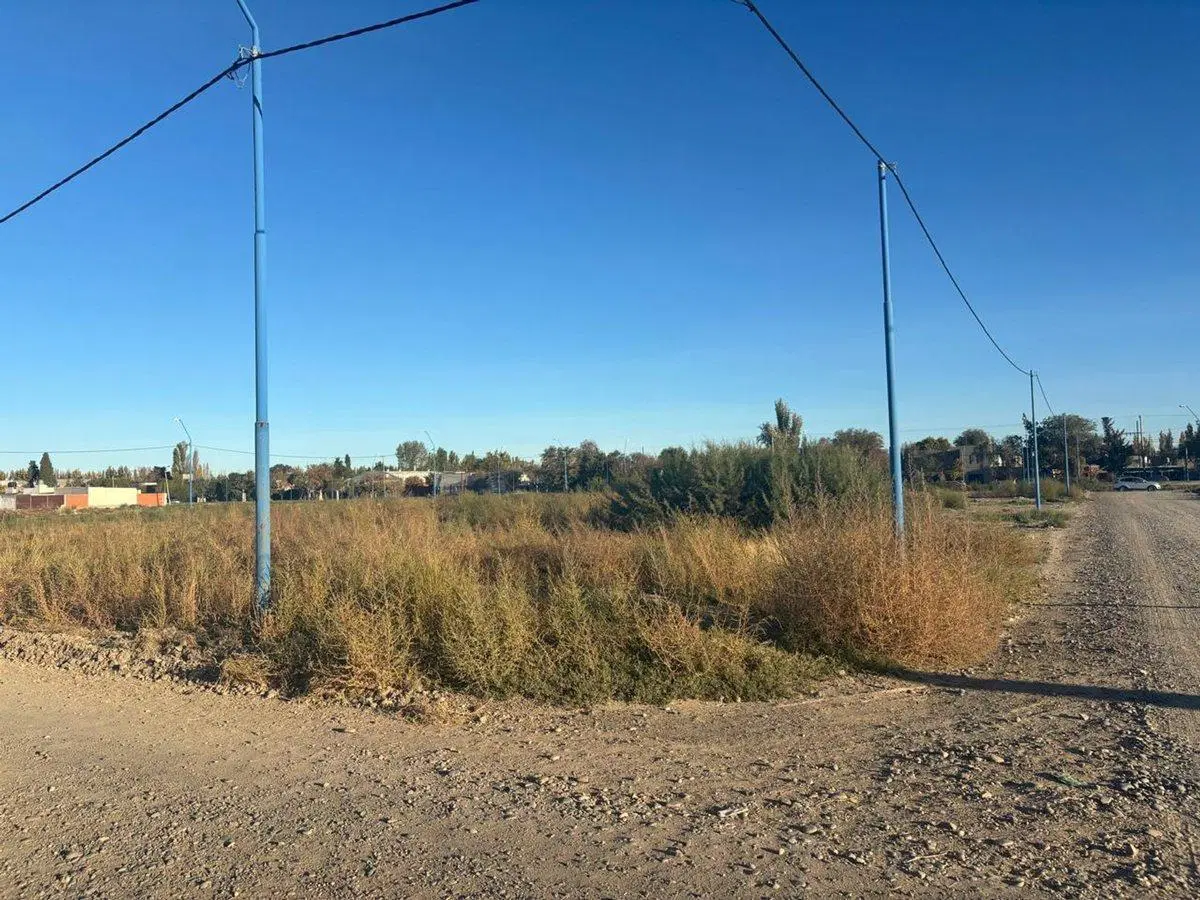 LOTE BARRIO LOS OLMOS 271 M2 4