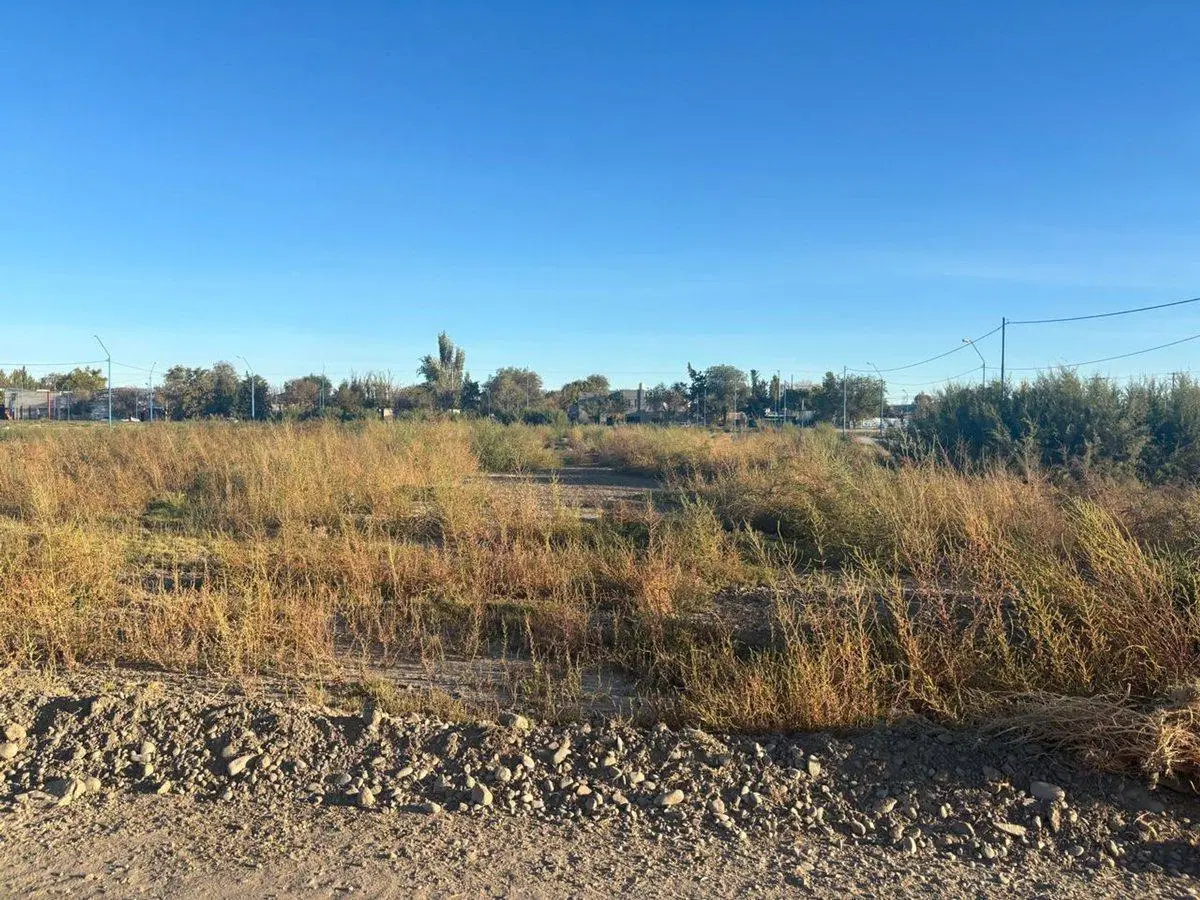 LOTE BARRIO LOS OLMOS 271 M2 3