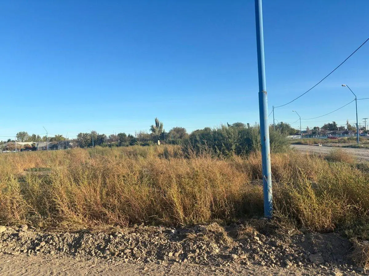 LOTE BARRIO LOS OLMOS 340 M2 4
