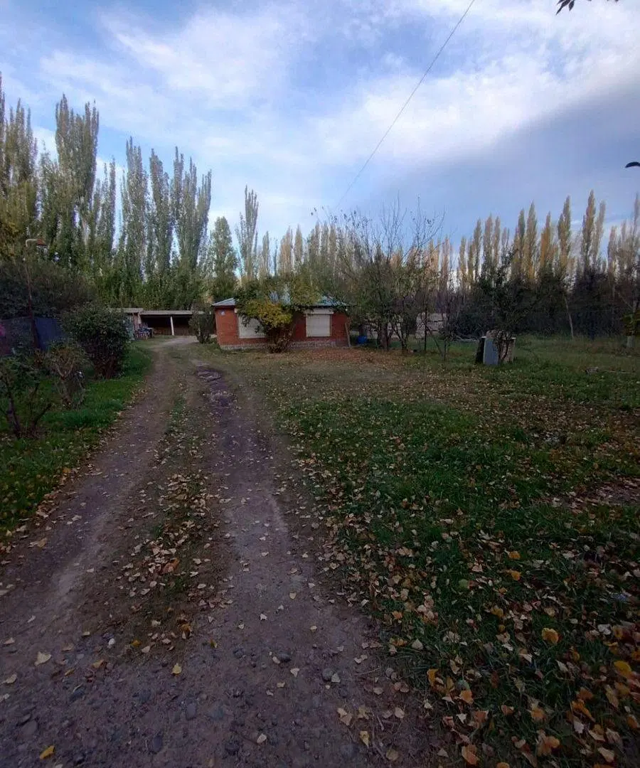 CASA QUINTA EN ALQUILER (VILLA REGINA) 8