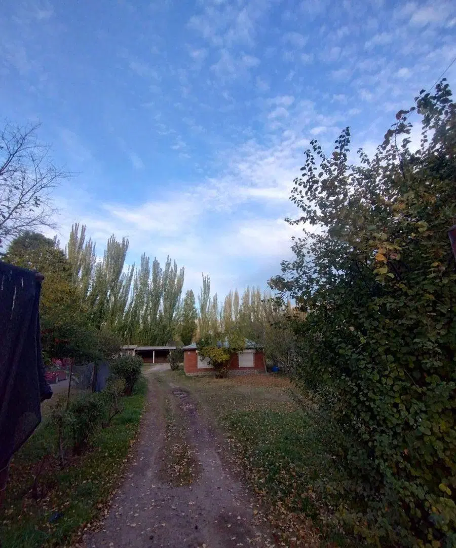 CASA QUINTA EN ALQUILER (VILLA REGINA) 2