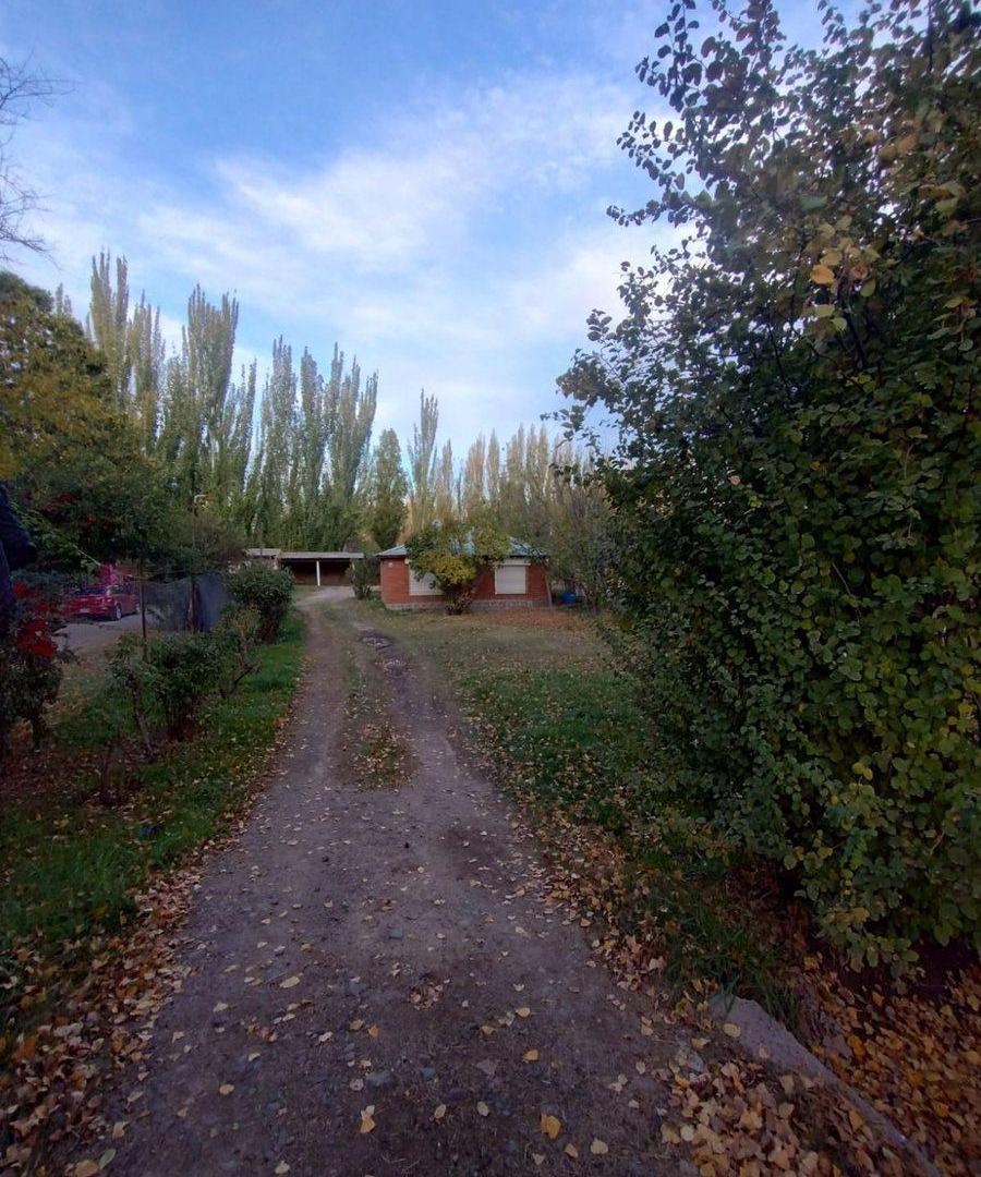 CASA QUINTA EN ALQUILER (VILLA REGINA)