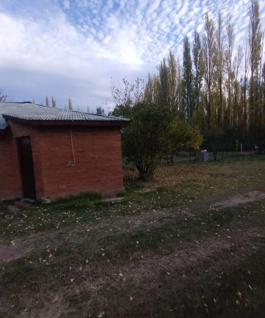 CASA QUINTA EN ALQUILER (VILLA REGINA) 4
