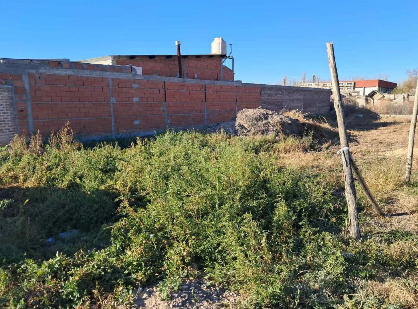 VENTA DE LOTE0 LA ROSA 4