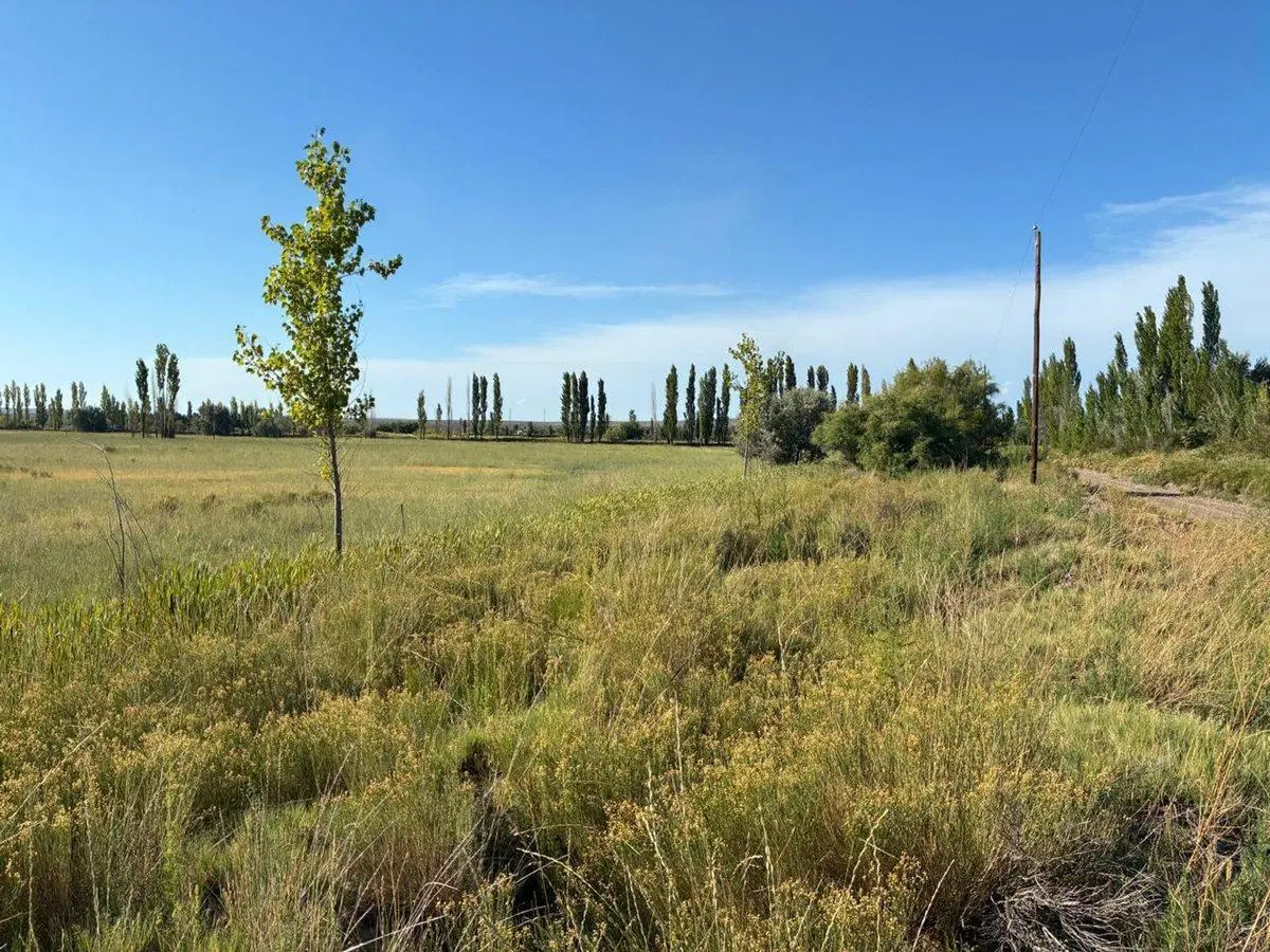 VENTA DE CHACRA CERVANTES - ESQUINA 8