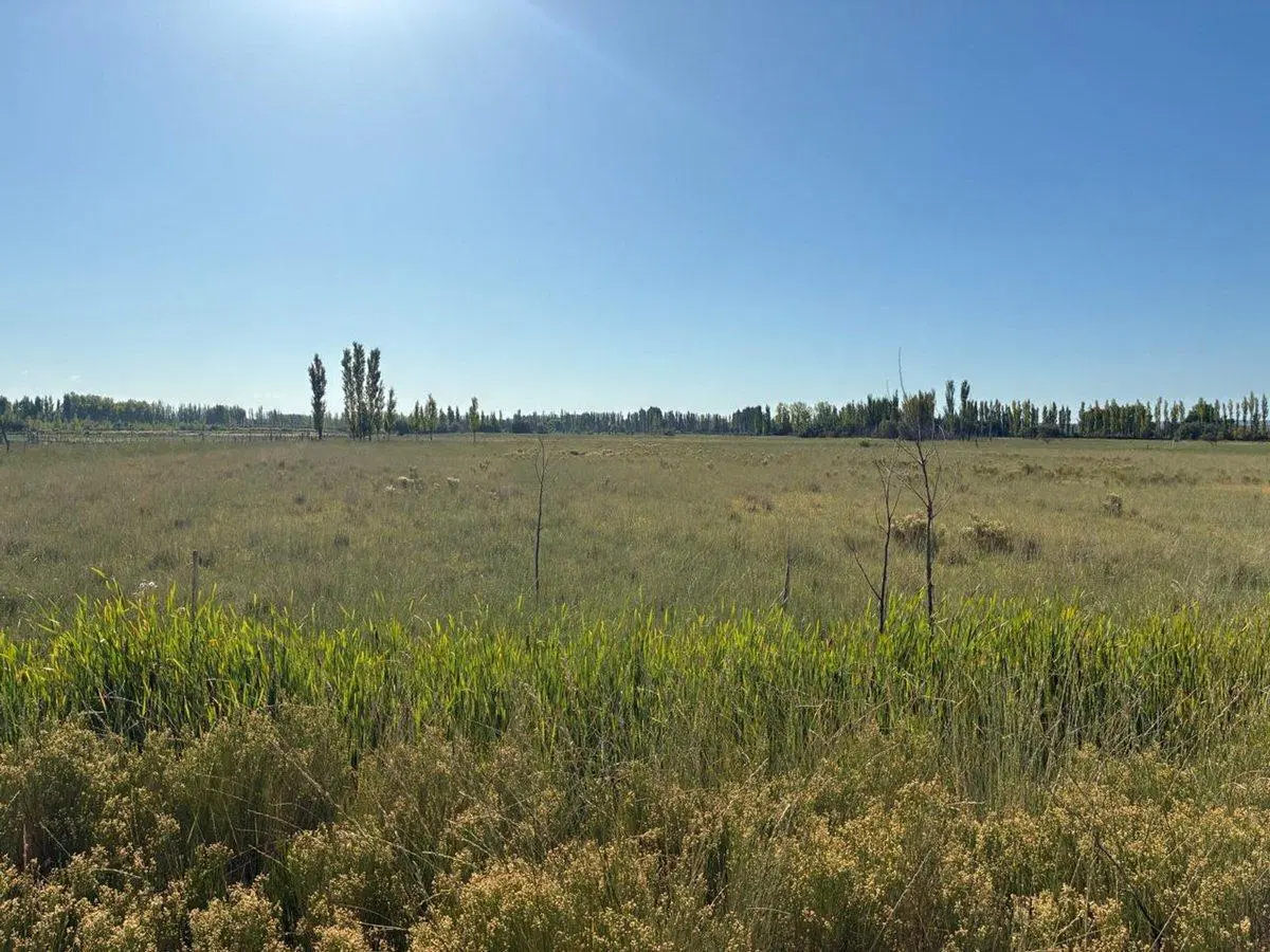 VENTA DE CHACRA CERVANTES - ESQUINA 4