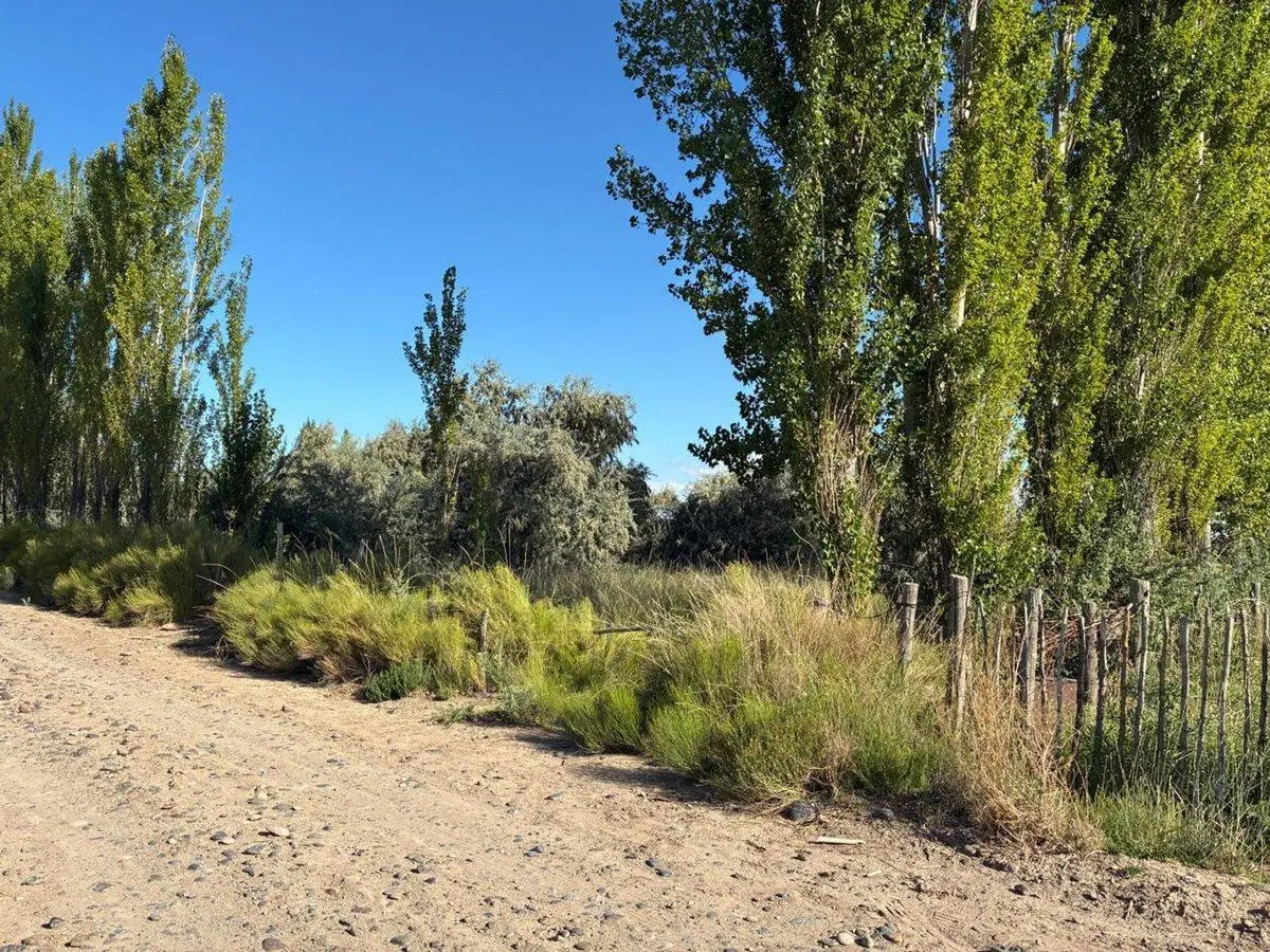 VENTA DE CHACRA CERVANTES - ESQUINA 3