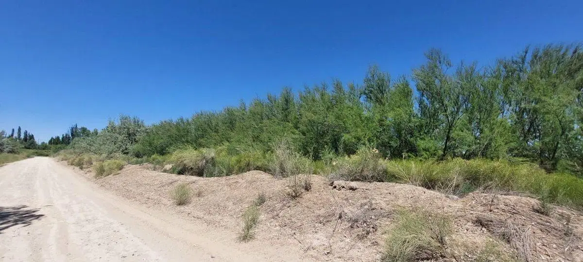 Venta de Lote para desarrollar 200 terrenos! 5