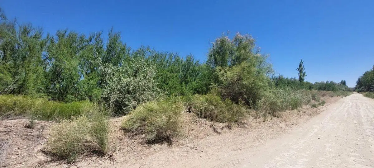 Venta de Lote para desarrollar 200 terrenos! 4