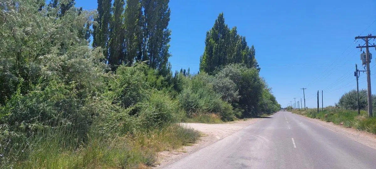 Venta de Lote para desarrollar 200 terrenos! 3