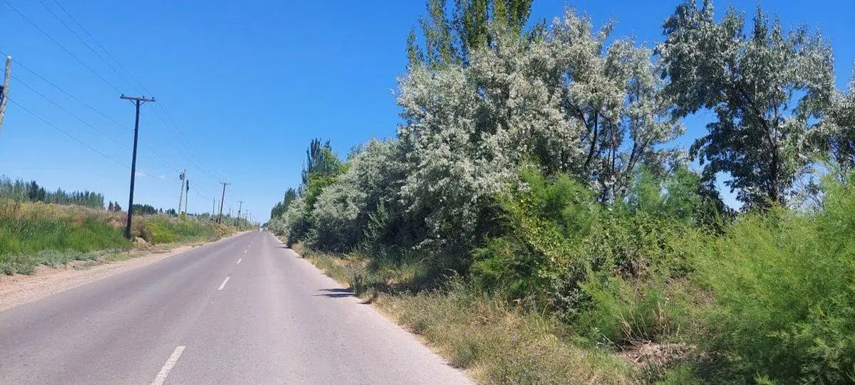 Venta de Lote para desarrollar 200 terrenos! 2