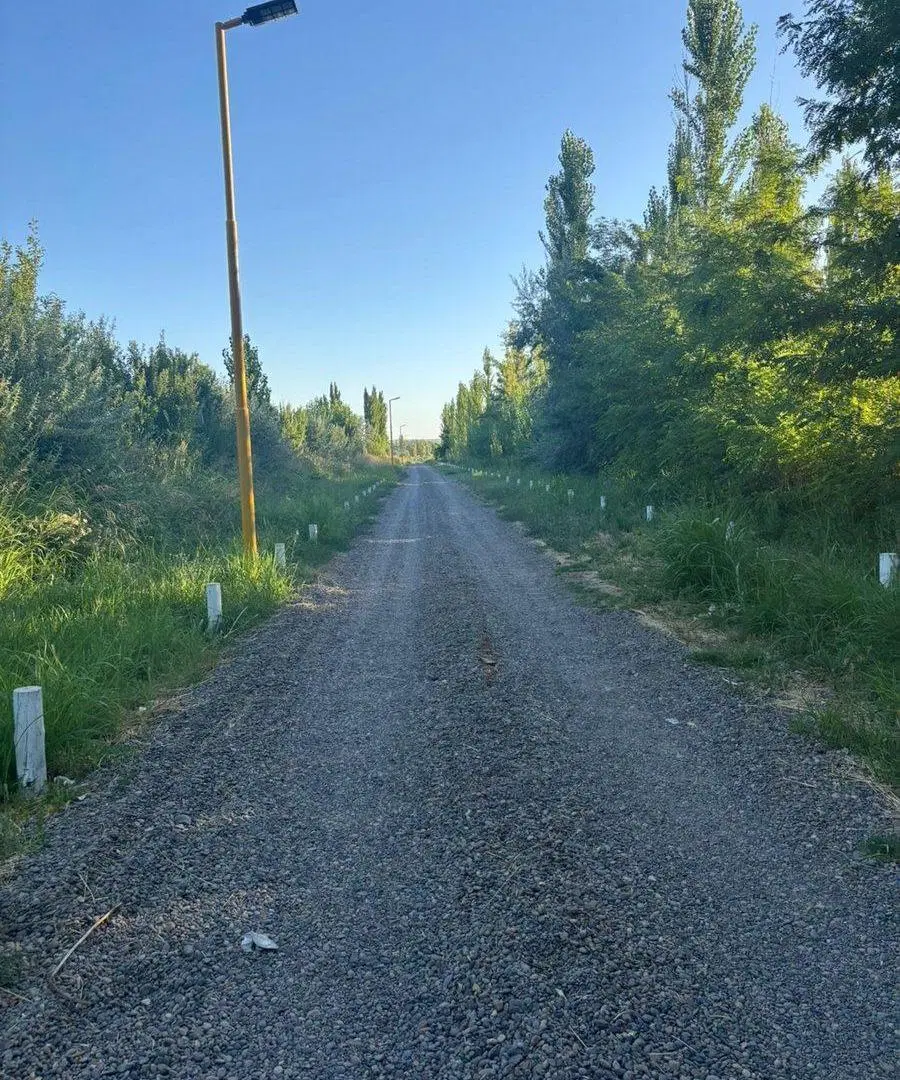 LOTE EN LA RUFINA II CERVANTES 3