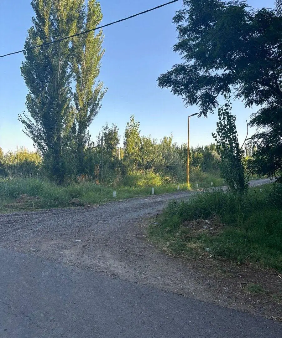 LOTE EN LA RUFINA II CERVANTES 4