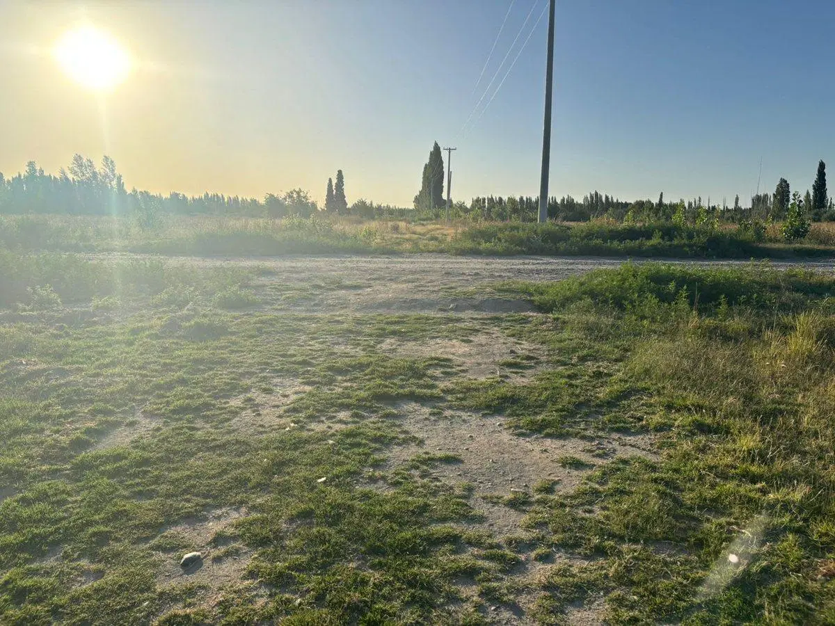 LOTE EN LA RUFINA II CERVANTES 2