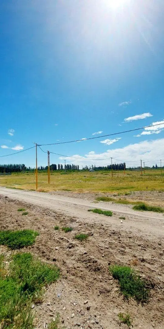 TERRENO EN VENTA EN LA RUFINA I EN CERVANTES 3