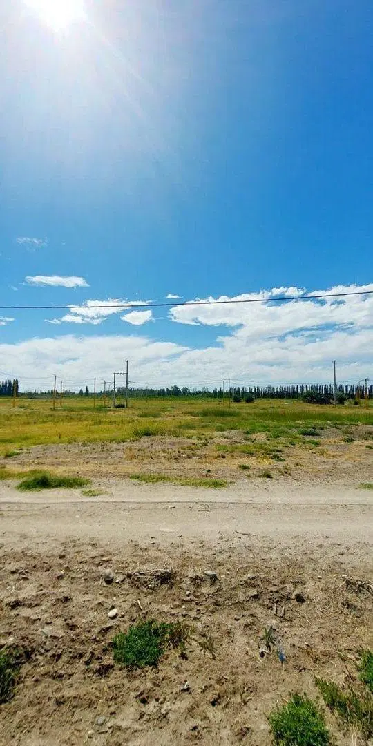 TERRENO EN VENTA EN LA RUFINA I EN CERVANTES 4