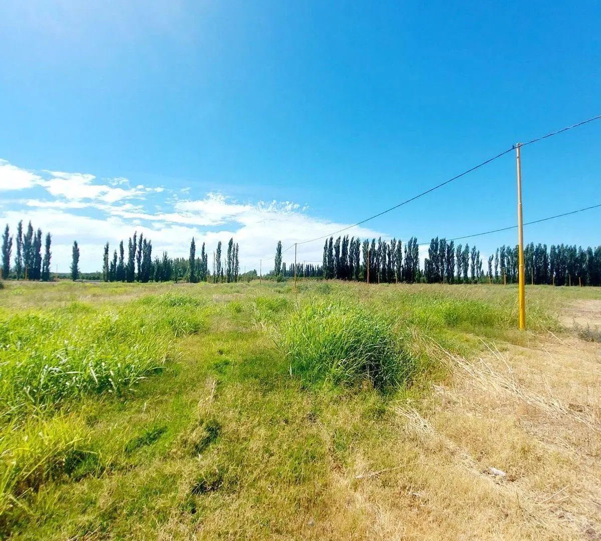 TERRENO EN VENTA EN LA RUFINA I EN CERVANTES 2