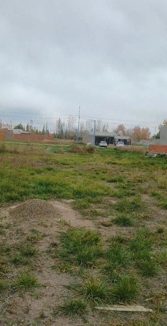 LOTE EN VENTA GENERAL ROCA (LOS ÁLAMOS BLANCO) 5