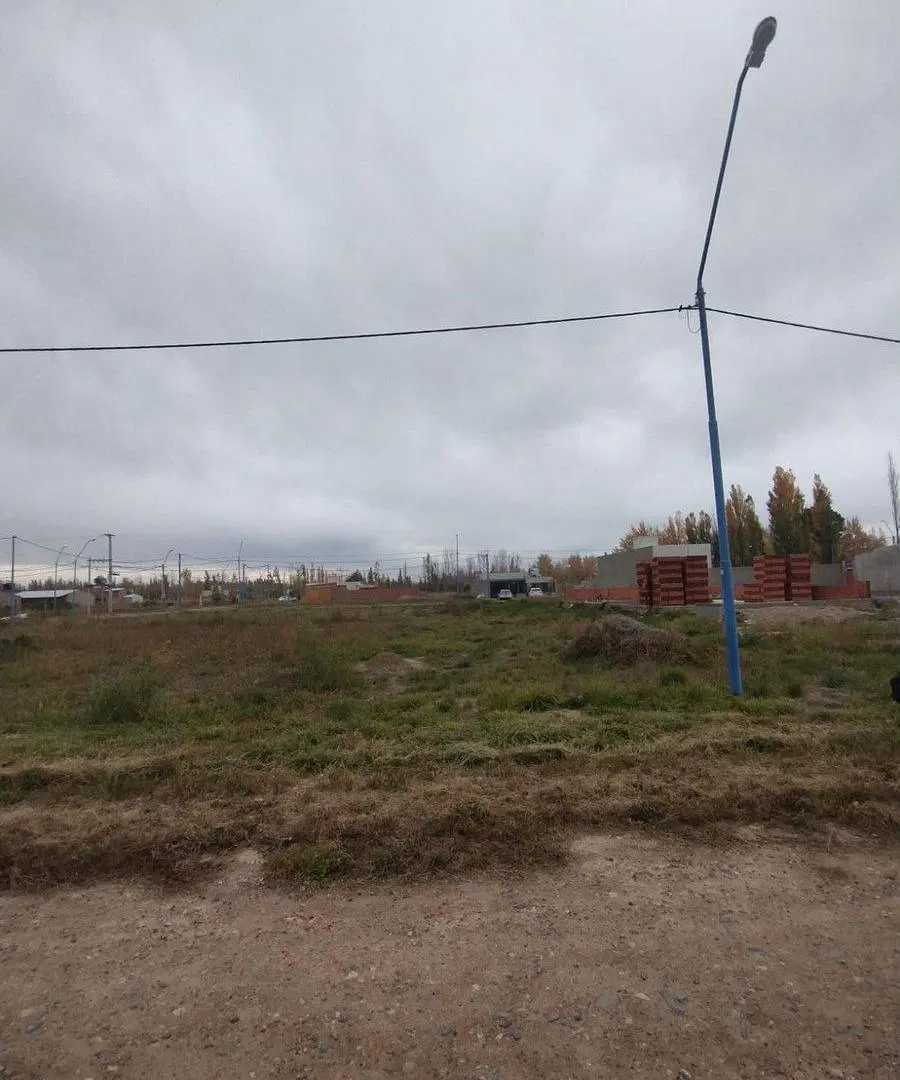 LOTE EN VENTA GENERAL ROCA (LOS ÁLAMOS BLANCO) 2