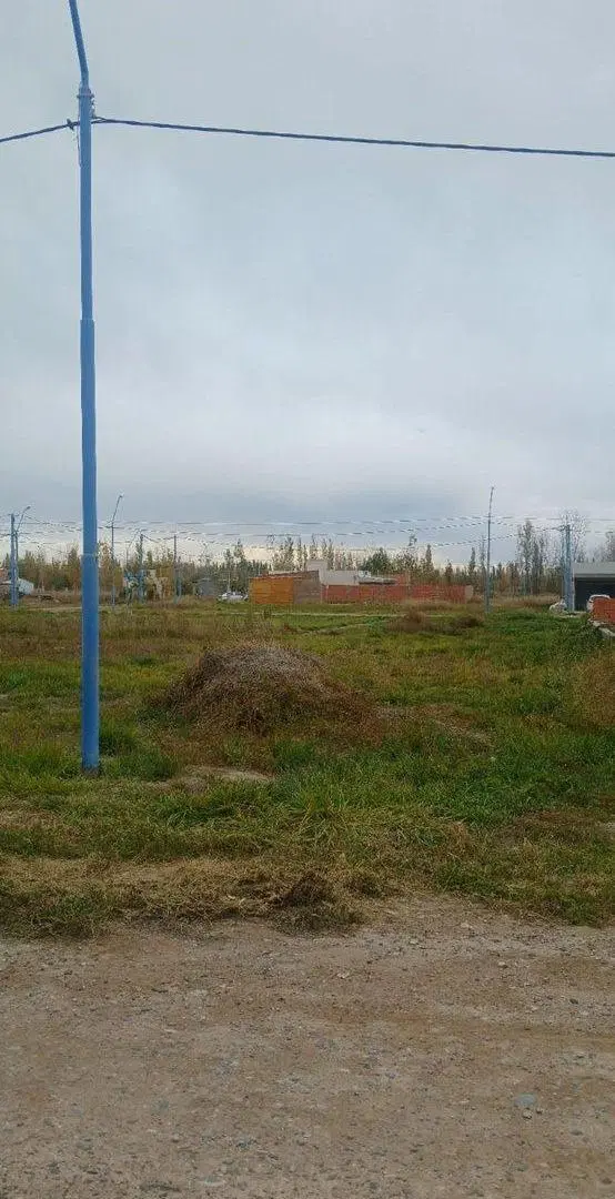 LOTE EN VENTA GENERAL ROCA (LOS ÁLAMOS BLANCO) 3