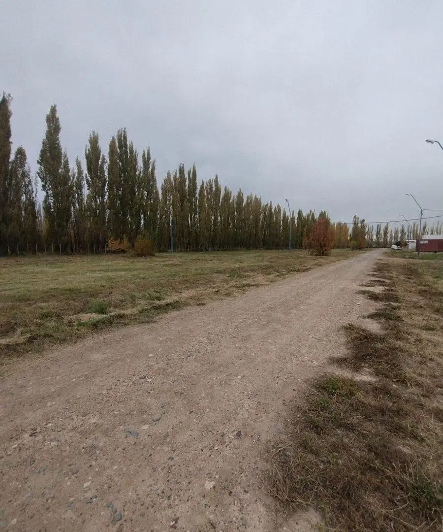 LOTE EN VENTA GENERAL ROCA (LOS ÁLAMOS BLANCO) 4