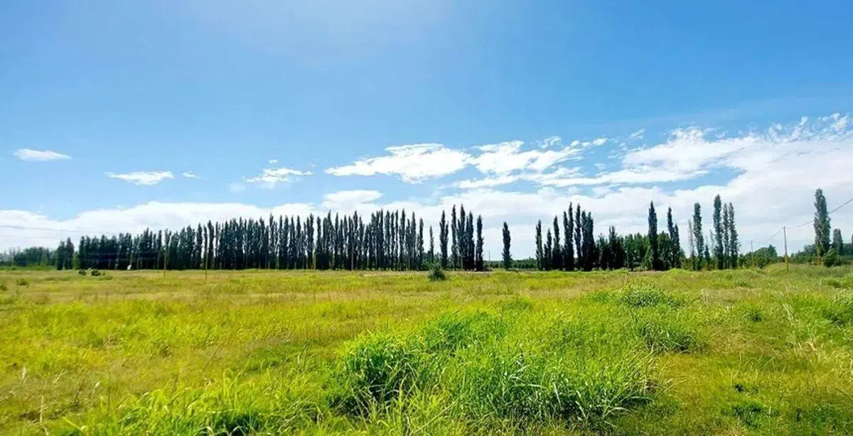 Terreno en La Rufina II 3