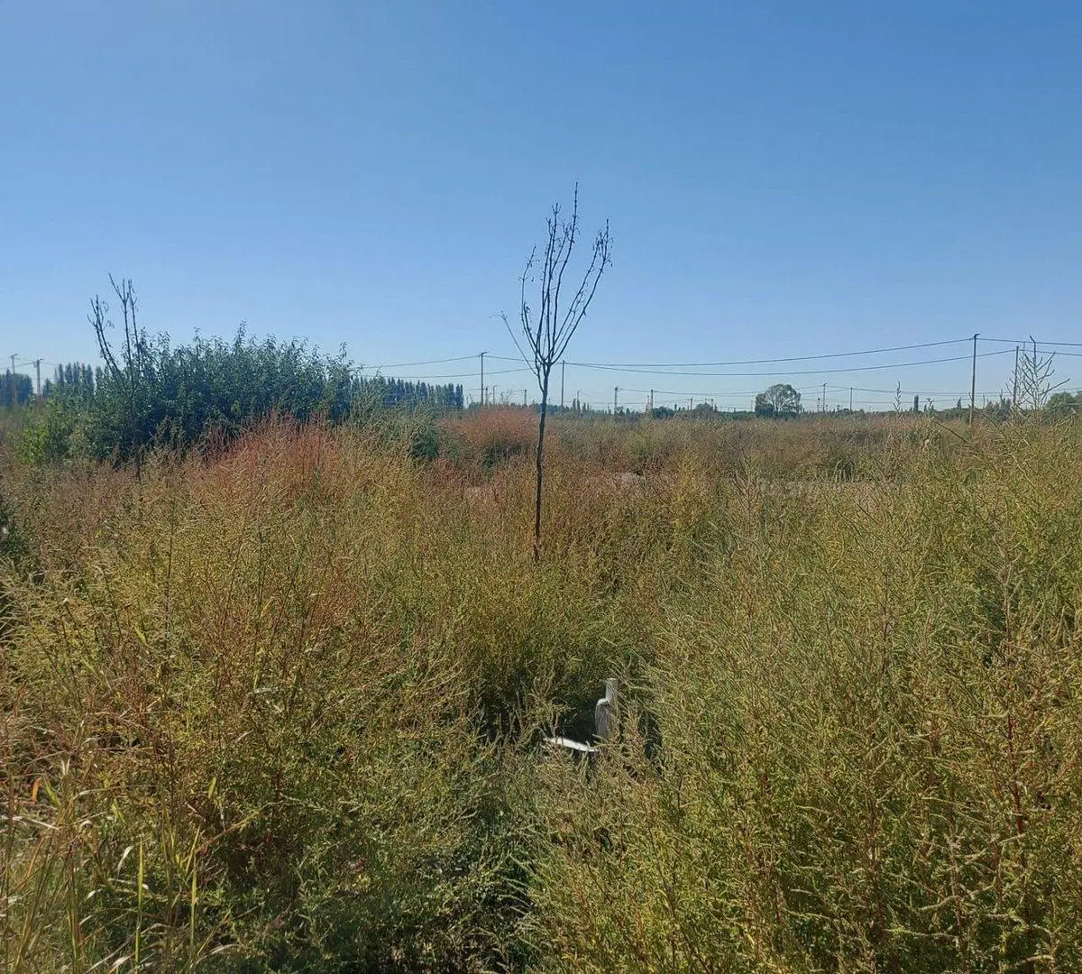 VENTA TERRENO EN LA RUFINA I 2