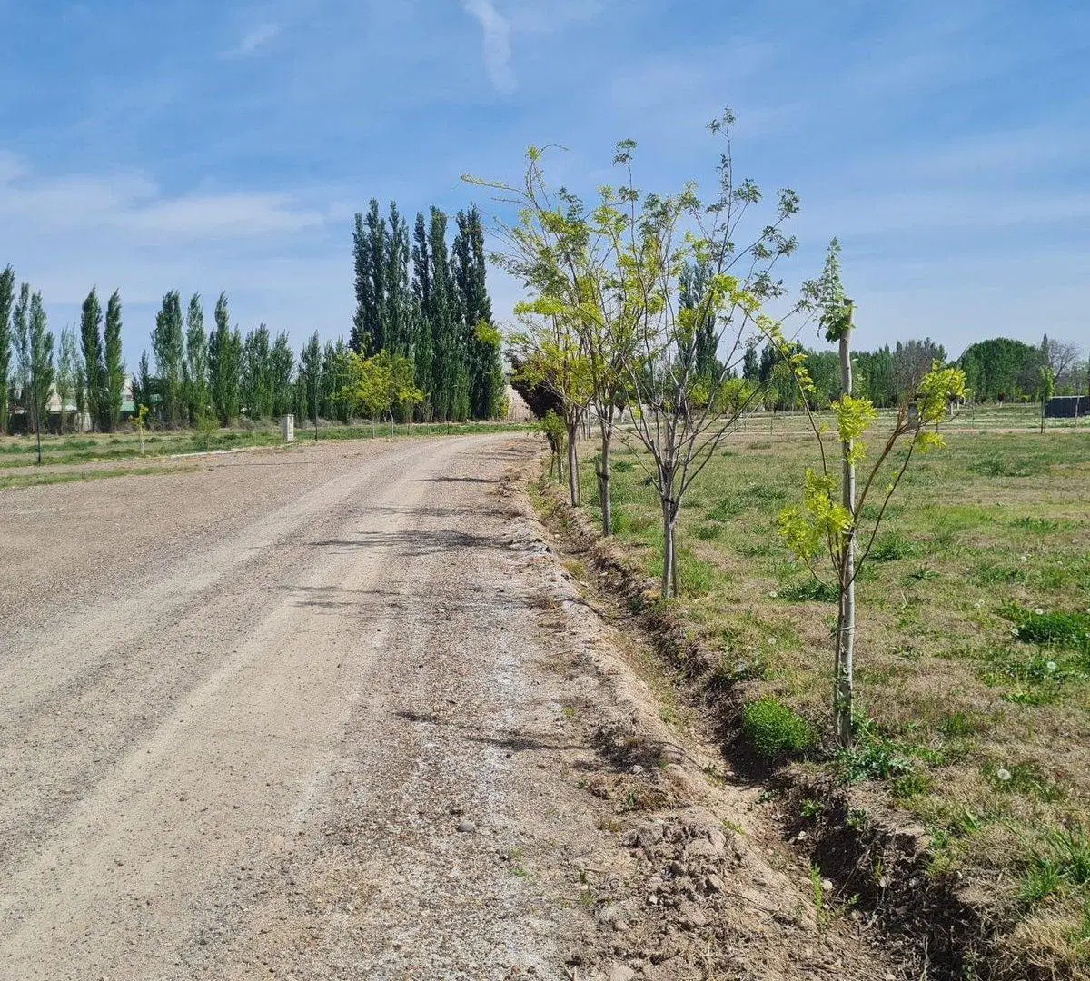 Venta exclusiva Terrenos la Toscana. Financiación! 3