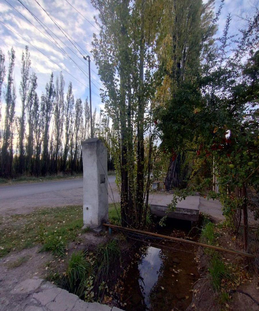 Foto de CASA QUINTA EN ALQUILER (VILLA REGINA), imagen 1