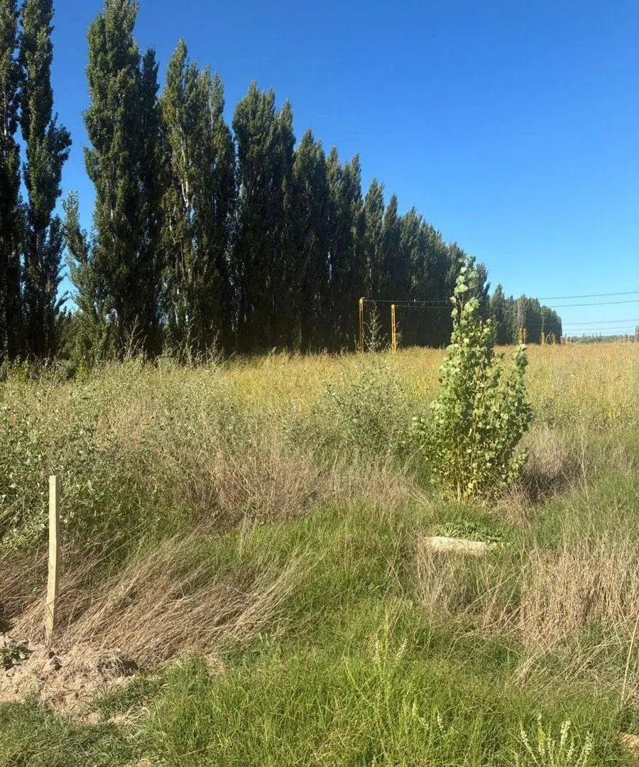 TERRENO EN VENTA 4