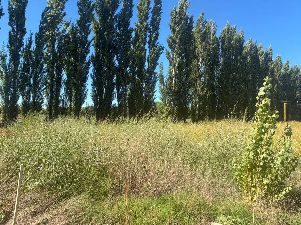 TERRENO EN VENTA 6