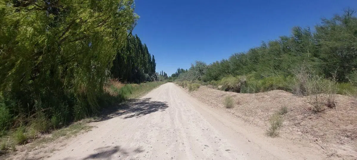 Venta de Lote para desarrollar 200 terrenos! 6