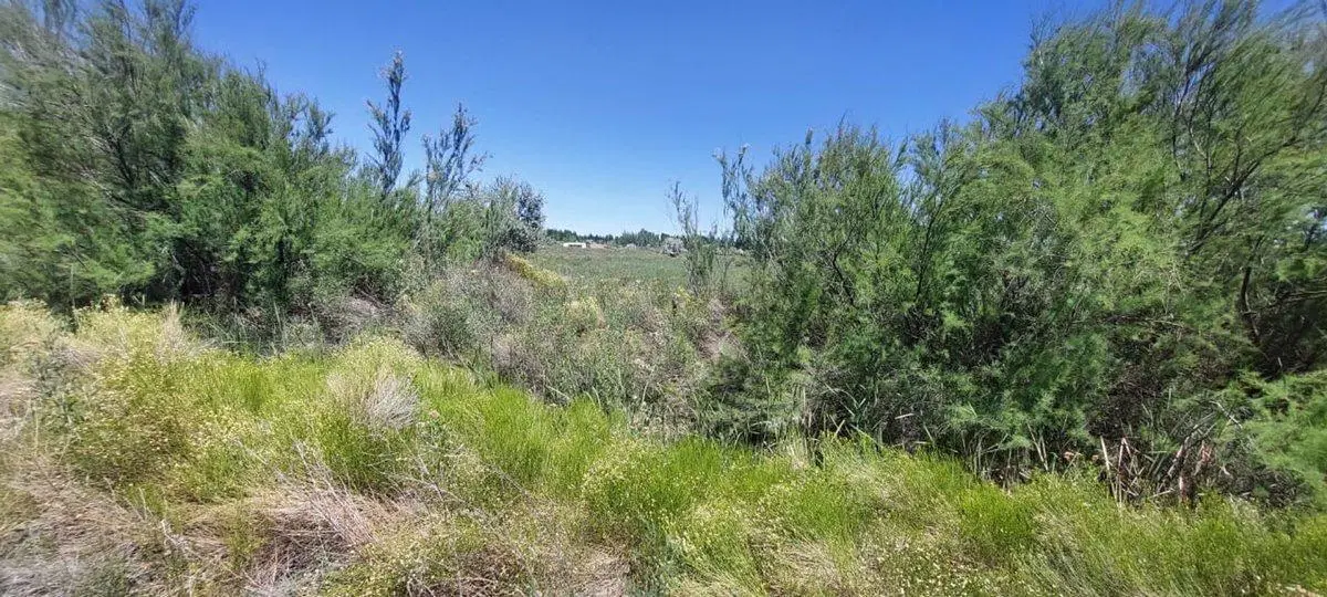 Venta de Lote para desarrollar 200 terrenos! 5