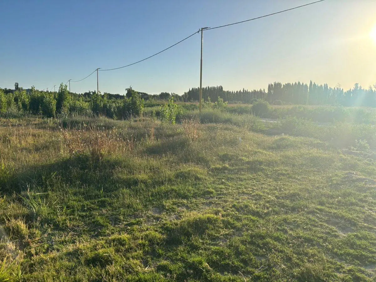 LOTE EN LA RUFINA II CERVANTES 3