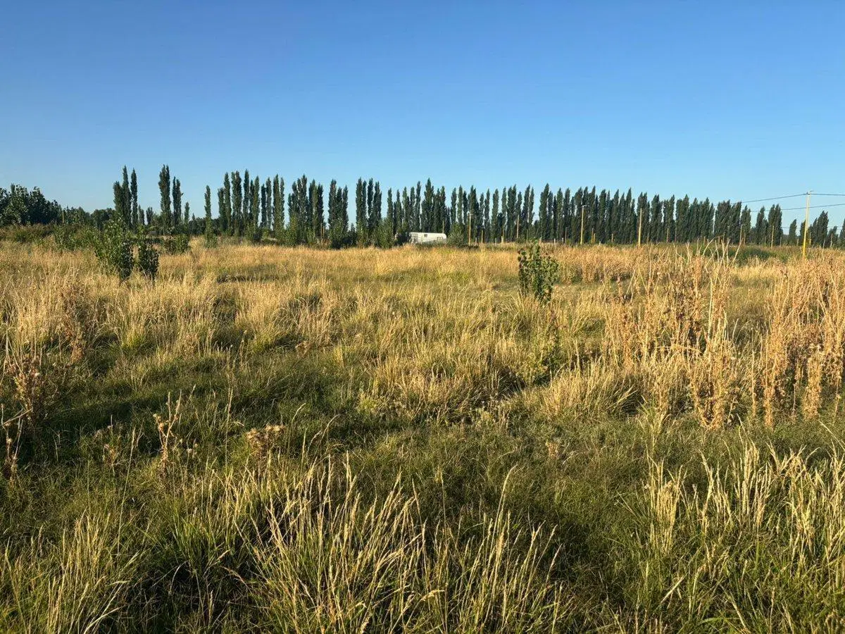 LOTE EN LA RUFINA II CERVANTES 5