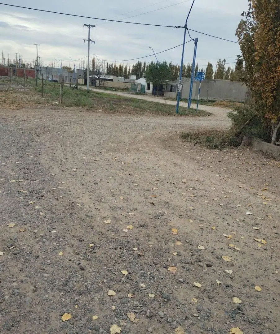 LOTE EN VENTA GENERAL ROCA (LOS ÁLAMOS BLANCO) 2