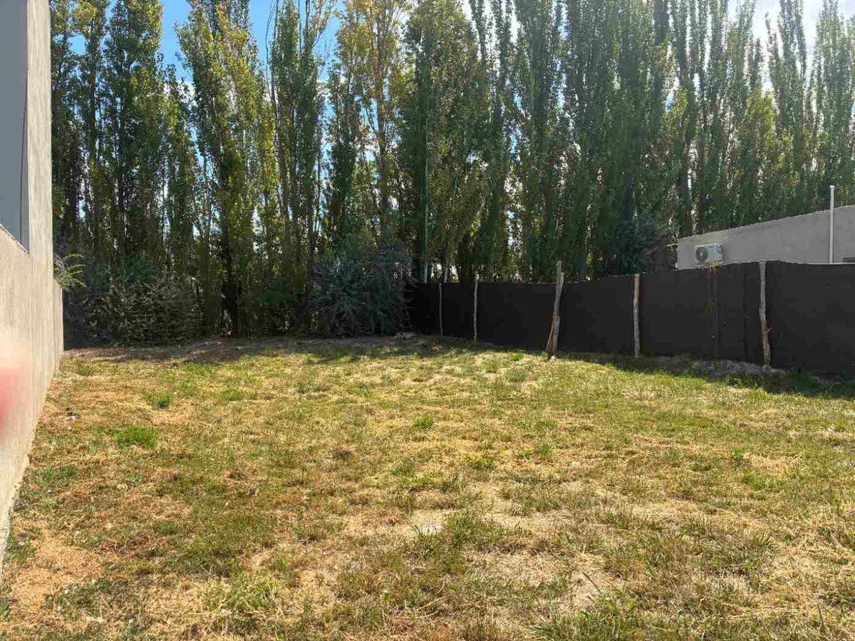 Foto de TERRENO EN VENTA EN LA MARTINA I GENERAL ROCA, imagen 1