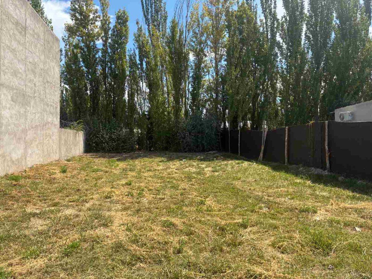 Foto de TERRENO EN VENTA EN LA MARTINA I GENERAL ROCA, imagen 4