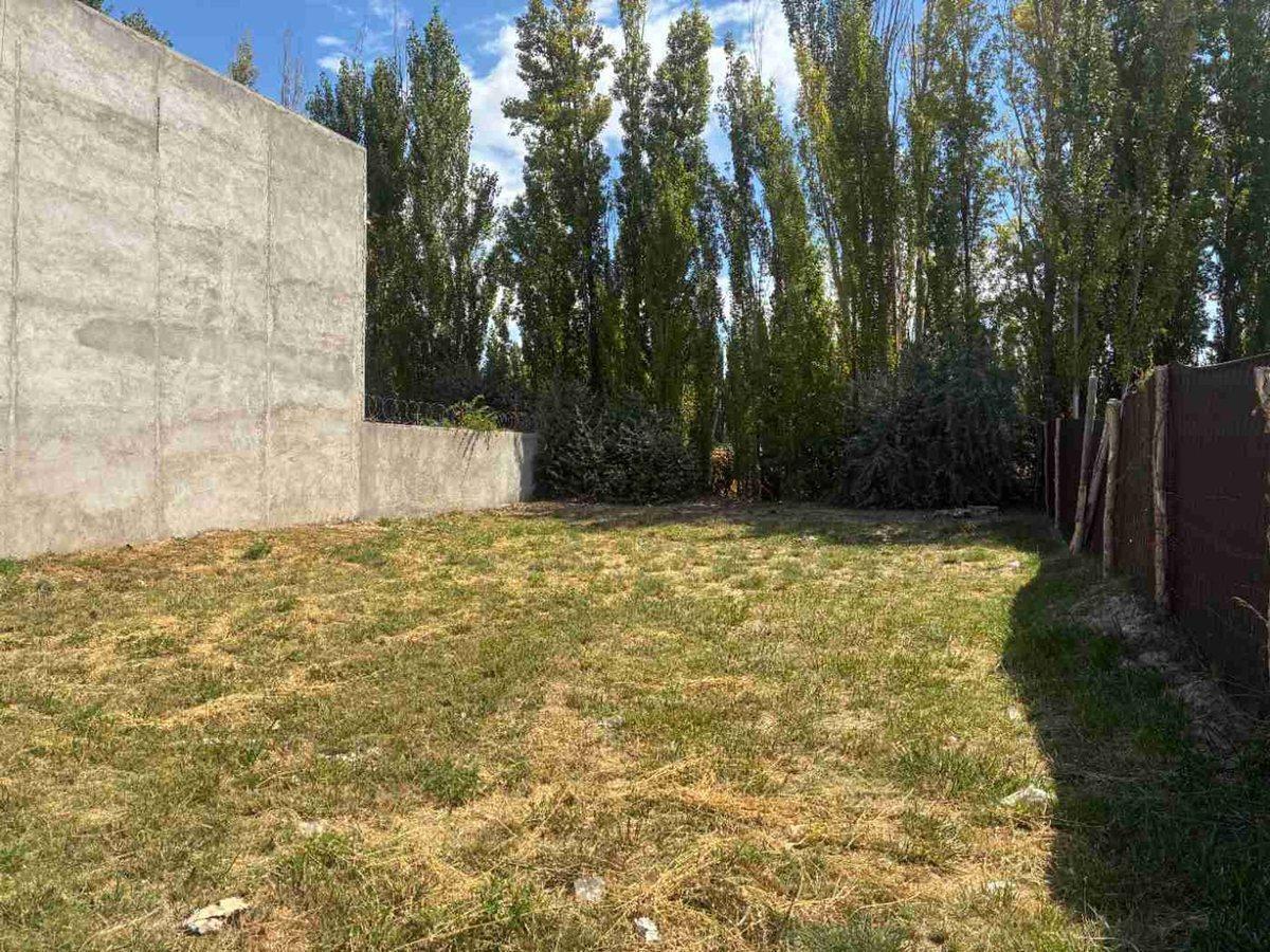Foto de TERRENO EN VENTA EN LA MARTINA I GENERAL ROCA, imagen 2