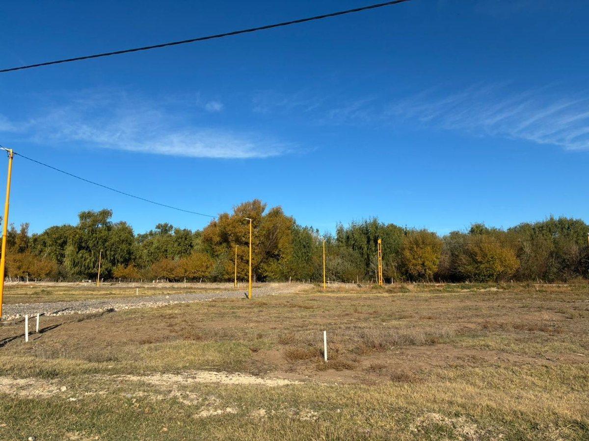 Foto de TERRENO EN VENTA EN LOTEO LA RUFINA II, imagen 3