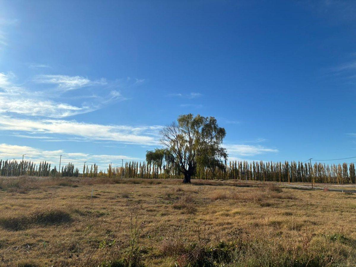 Foto de TERRENO EN VENTA EN LOTEO LA RUFINA II, imagen 2