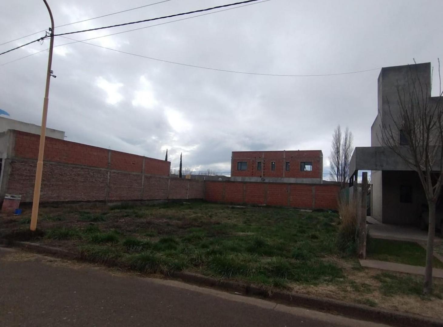 Foto de Terreno en venta – Loteo Adela | Villa Regina, imagen 5
