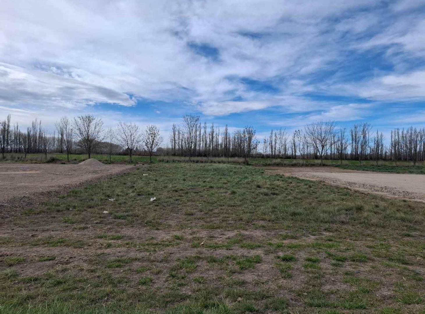 Foto de Venta de terreno sobre el paseo del Bicentenario, imagen 4